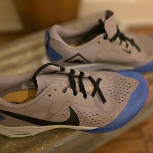 Nike Men's Gray and Blue Running Shoes